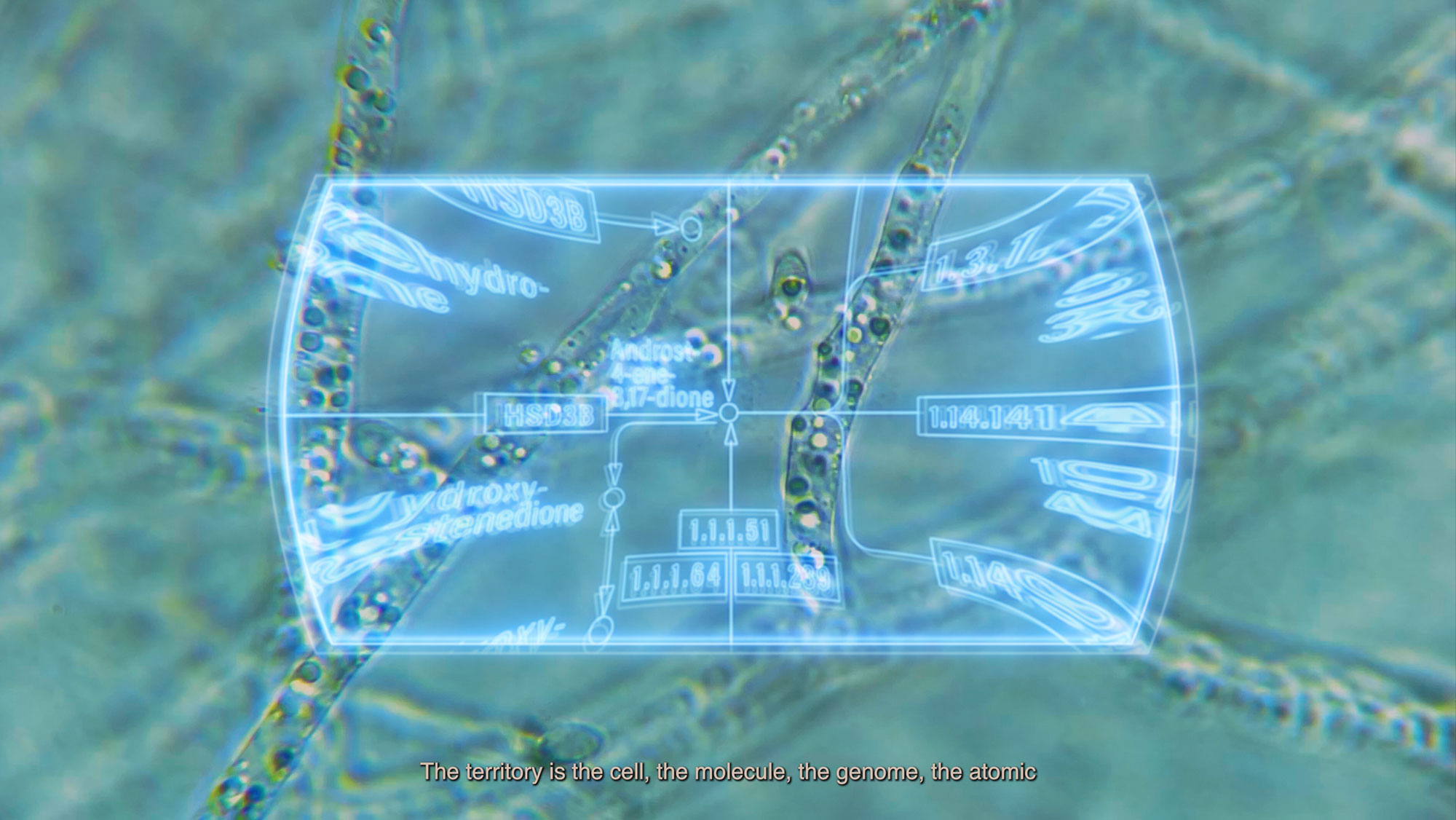 synthetic-becoming-life-in-the-molecular-commons-makery