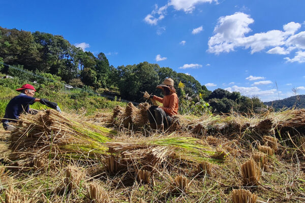 Habiter la féralité en poésie : Immersion en satoyama