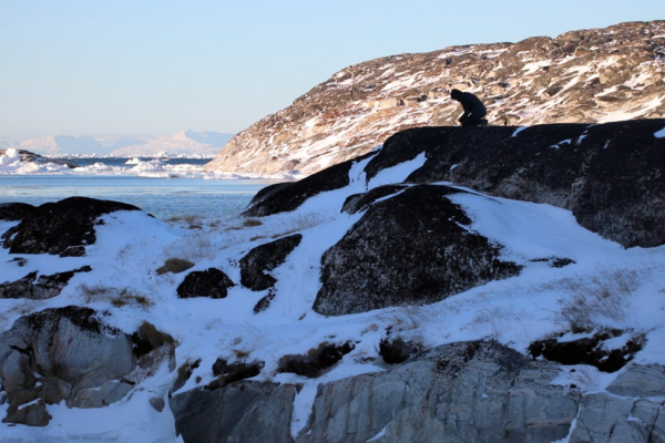 Expédition au Groenland avec Rewilding Cultures : Jean Danton Laffert en quête de permafrost